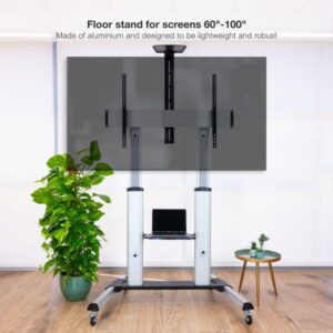 TooQ Partenón 2,54 m (100") Plata