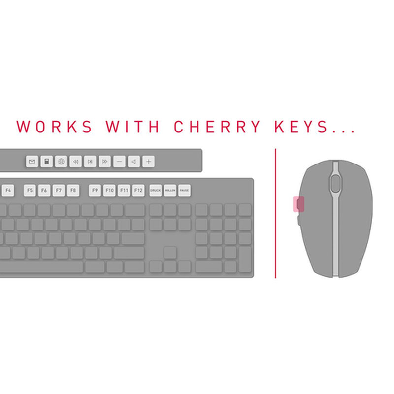 CHERRY DW 3000 teclado Ratón incluido Hogar RF inalámbrico Esloveno Negro - Imagen 5