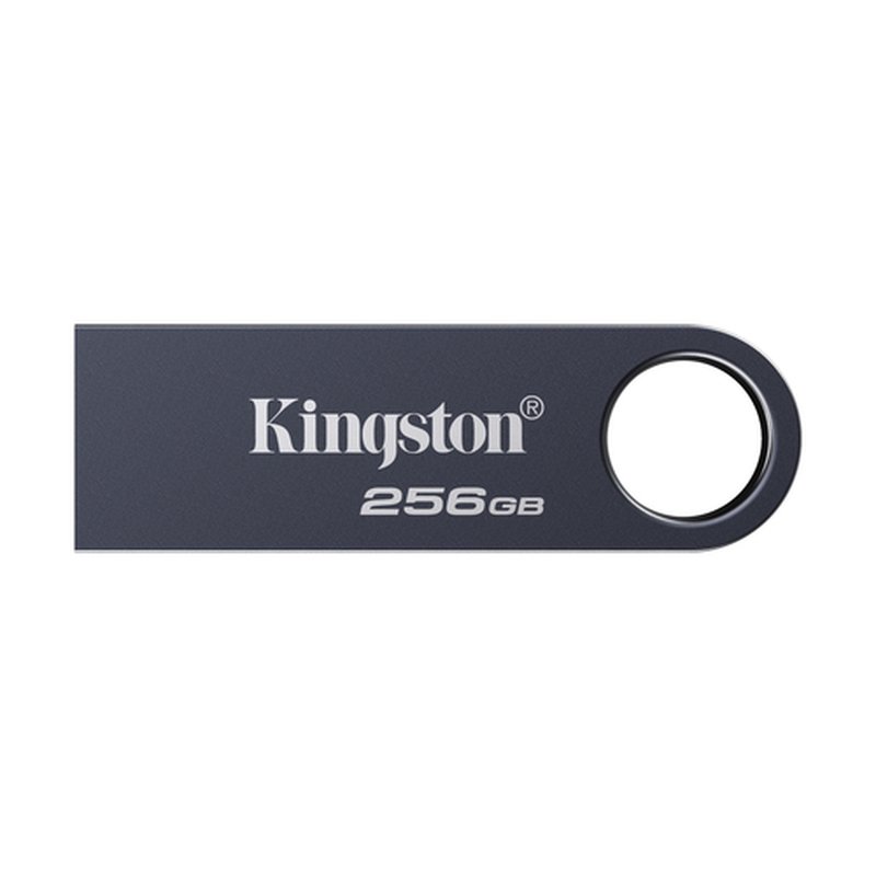 Kingston Technology DataTraveler 256 GB SE9 G3 - Níquel oscuro