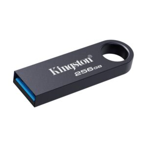 Kingston Technology DataTraveler 256 GB SE9 G3 - Níquel oscuro