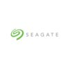 32TB SEAGATE SKYHAWK AI HARD INT
