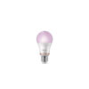 Philips Bombilla 100 W A60 E27