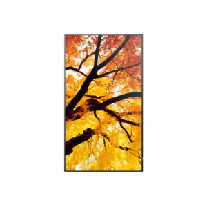 Alternative view of Sharp MultiSync PN-M982 Panel plano interactivo 2,48 m (97.5") LED 550 cd / m² 4K Ultra HD Negro 24/7