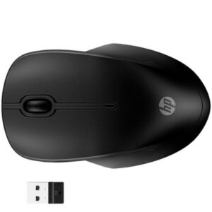 Alternative view of HP 255 Dual Wireless Mouse