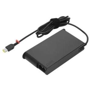Lenovo GX20Z46306 adaptador e inversor de corriente Interior 230 W Negro