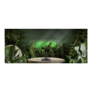 MSI Pro MP245PG pantalla para PC 60,5 cm (23.8") 1920 x 1080 Pixeles Full HD LCD Negro