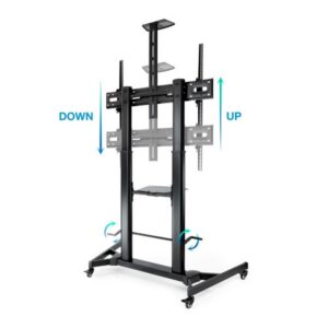 TooQ ZEUS 2,54 m (100") Negro